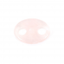 Natural Rose Quartz Oval Pig Nose Pendant Charms Size 18x25mm Hole6mm 2pcs/Pack