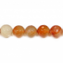 Carnelian Faceted Round 12mm Hole1.2mm 39-40cm/Strand