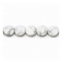 White Howlite Flat Round Faceted Diameter10mm Hole1mm 39-40cm/Strand