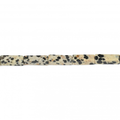 Dalmatian Jasper Rectangle 4x13mm Hole0.8mm 39-40cm/Strand