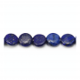 Lápis Lazuli Rondelle 10mm Furo0,8mm 39-40cm/Fio