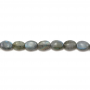 Labradorite ovale Perlenkette 6x8mm Durchmesser des Loch 1mm ca. 50 Stck / Strang 15~16"