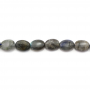 Labradorite ovale Perlenkette 10x14mm Durchmesser des Loch 1mm ca. 29 Stck / Strang 15~16"