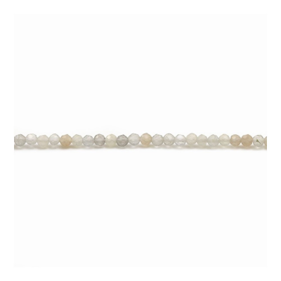 Mix Moonstone Faceted Round Diameter3mm Hole0.3mm 39-40cm/Strand
