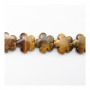 黃虎眼石串珠 花形 尺寸20x20毫米 孔徑1毫米 長度39-40厘米/條