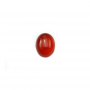 Forma ovale di agata rossa naturale cabochon Dimensioni 8x10mm 30pz/confezione