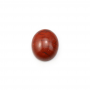 Cabochão da Jaspe vermelho  em forma de Oval  Tamanho: 10x12 mm  Espessura: 4 mm  20 pçs/pacote.
