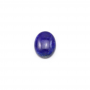 Cabonchons en Lapis-lazuli  oval  Taille 8x10mm 6pcs/paquet