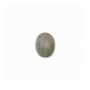 Labradorite naturale Cabochon ovale dimensioni 7x9mm spessore 3.5mm 10pcs/pack