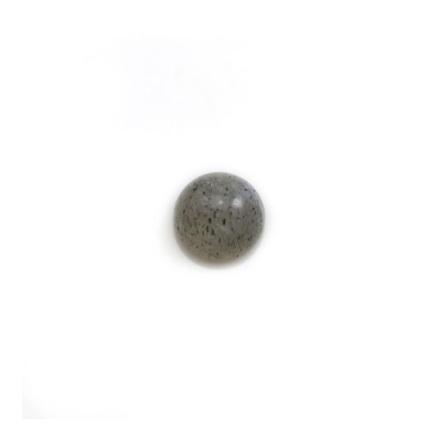 Natürliche Labradorit-Cabochons, runder Durchmesser, 6 mm, 10 Stück/Pack
