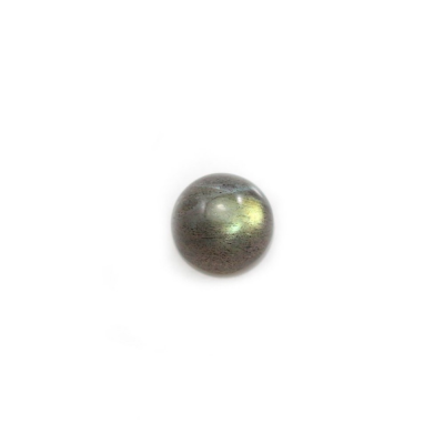 Labradorite runde Cabochons  Durchmesser 8mm  Dicke 4mm  10 Stck / Packung