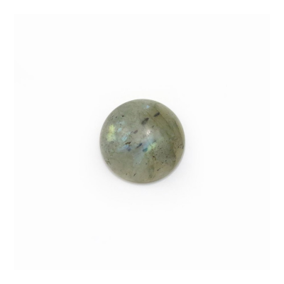 Labradorite runde Cabochons  Durchmesser 10mm  Dicke 4.5mm  10 Stck / Packung