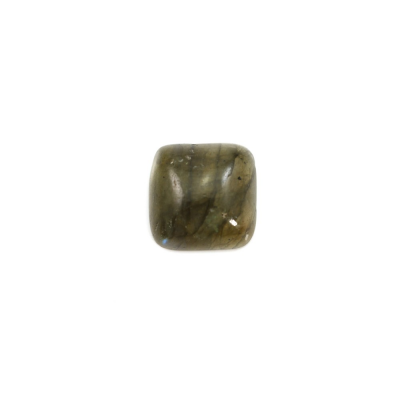Natürliche Labradorit-Cabochons, quadratisch, Größe 10 mm, 10 Stück/Pack