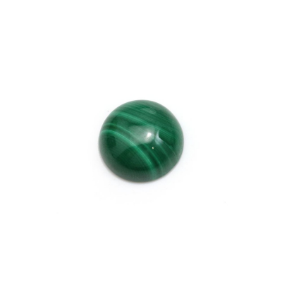 Malachite runde Cabochons  Durchmesser 10mm  10 Stck / Packung
