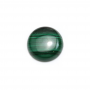 Malachite runde Cabochons  Durchmesser 16mm  2 Stck / Packung