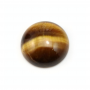 Natural Tiger's eye Cabochon Round Diameter 16mm Thickness  6mm 10pcs/Pack