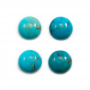 Cabochons de turquoise naturelle ronds diamètre 16 mm 4 pcs / pack