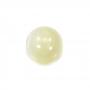 Weiße Muschel Perlmutt halb gebohrt Perlen Runde Durchmesser6mm Loch0.8mm 20pcs/Pack
