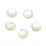 White Shell Mother Of Pearl Cabochons Round Size6mm 10pcs/Pack