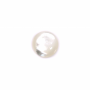 Cabochões de madrepérola em concha branca tamanho redondo10mm 10pcs/embalagem