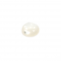 白い貝の真珠の母Cabochonsの円形のサイズ12mm 10pcsかパック