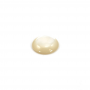 白い貝の真珠の母Cabochonsの円形のサイズ14mm 10pcsかパック