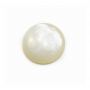 White Shell Mother Of Pearl Cabochons Round Size16mm 10pcs/Pack