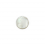 Белая раковина перламутра кабошон плоский круглый диаметр14 мм 10 шт/упак