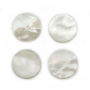 白い貝の真珠の母カボション平らな円形の直径20mm 10pcs/packの