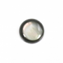 Cabochon rond en nacre de coquillage gris diamètre 8mm 10pcs/Pack