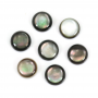Grey Shell Mother of Pearl Cabochon Round Diameter8mm 10pcs/Pack