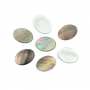 Gray Shell Mother of Pearl Cabochon Flat Oval Size10x14mm 10pcs/pack