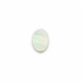 Weiße Muschel Perlmutt Cabochon flach oval Größe10x14mm 10pcs/Pack