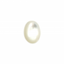 Cabochon ovale en nacre blanc Taille 10x14mm 10pcs/Pack