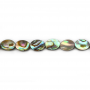 Perles de coquillage d'Abalone/Paua de forme ovale, Taille 6x8 mm, Trou 0.8 mm, environ 50 perles/timbre, 15 ~ 16''