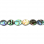 Fili di perline colorate di conchiglia Abalone/Paua, ovali, dimensione 8x10 mm, foro 0,8 mm, circa 40 perline per filo, 15 ~ 16