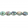 Fili di perle di conchiglia di abalone, ovali, dimensioni 10x14 mm, foro 0,8 mm, circa 28 perline/filamento, 15 ~ 16 ''