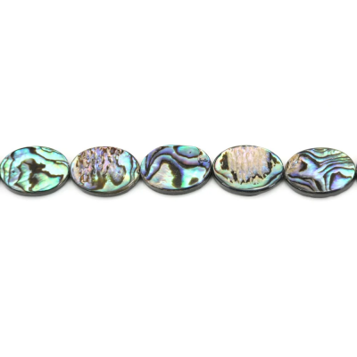 Collier de perles de coquille d'Abalone/Paua, ovale, taille 13x18mm, trou 0.7mm, environ 22 perles/collier, 15 ~ 16 ''