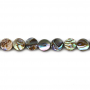 Perles de coquille d'ormeau naturelles en collier, plates et rondes, diamètre 6 mm, trou 0,8 mm, environ 63 perles par collier