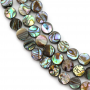 Rouleaux de perles lisses en nacre d'abalone/Paua, rondes et plates, diamètre 8 mm, trou 0,8 mm, environ 50 perles par rouleau,
