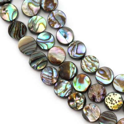 Fili di perline lisce di conchiglia Abalone/Paua, rotonde piatte, diametro 10 mm, foro 0,8 mm, circa 40 perline per filo, 15 ~ 1