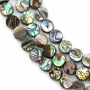 Rouleaux de perles lisses en abalone/paua, rondes et plates, diamètre 10 mm, trou 0.8 mm, environ 40 perles/rang, 15 ~ 16 ''