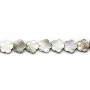 灰貝串珠 花形 尺寸18x18毫米 孔徑0.7毫米 長度39-40厘米/條