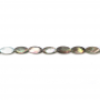 Graue Perlmutt Muschel Perlen Facettiert Oval Größe8x16mm Loch0.8mm 39-40cm/Strang