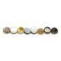 Perles en nacre grise perles rondes plates diamètre 6mm trou 0.8mm 39-40cm/brin