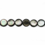 Collier de perles de coquille grises naturelles, plates et rondes, diamètre 12 mm, trou 0,8 mm. Environ 33 perles par collier