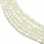Filo di perline rotonde di madreperla bianca naturale, diametro 3 mm, foro 0,5 mm, circa 139 perline / filo, 15 ~ 16"