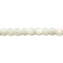 Collier de perles rondes en nacre blanche naturelle, Diamètre 3 mm, Trou 0.5 mm, environ 139 perles / collier, 15 ~ 16"