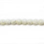 Fil de perles rondes en nacre blanche naturelle, Diamètre 8 mm, Trou 1 mm, environ 50 perles / fil 15 ~ 16 ''