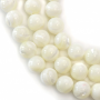 Fil de perles rondes en nacre blanche, Diamètre 10 mm, Trou 1.0 mm, environ 40 perles / fil 15 ~ 16 ''